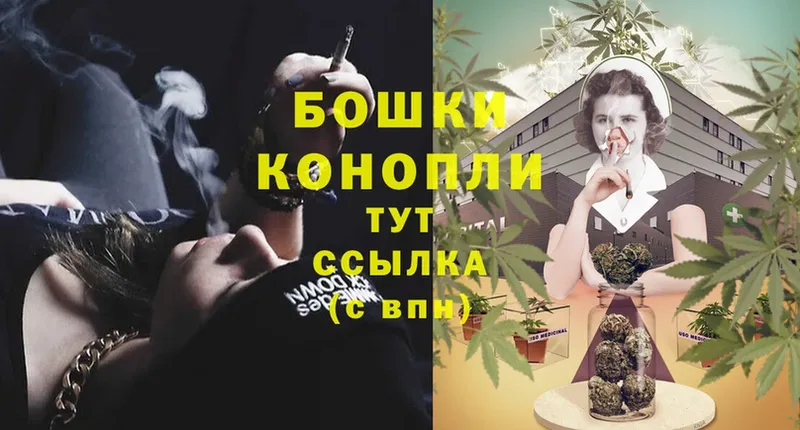 Конопля OG Kush  Донской 